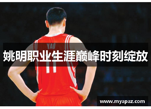 姚明职业生涯巅峰时刻绽放