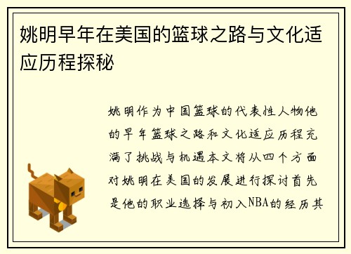 姚明早年在美国的篮球之路与文化适应历程探秘